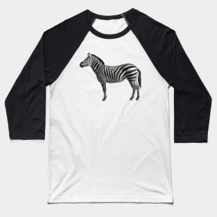 Zebra Baseball T-Shirt